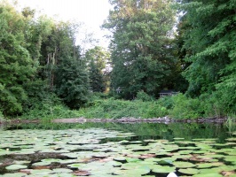 White Pond 7-8-10